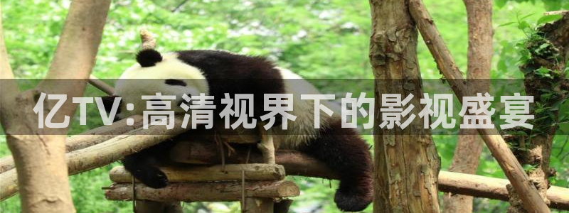 神马三级伦理影院：亿TV:高清视界下的影视盛宴
