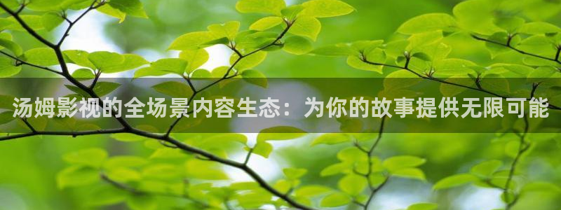 神马不卡伦理影院：汤姆影视的全场景内容生态：为你的故事提供无限可能