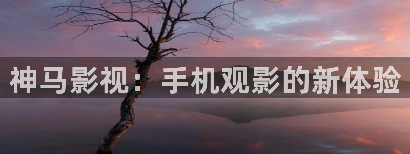 成人伦理影视网