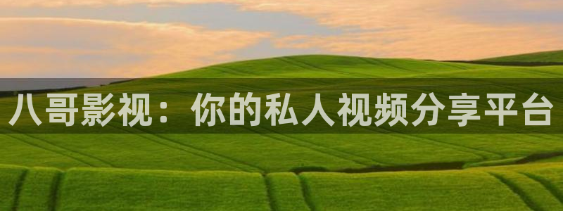 最新伦理影院：八哥影视：你的私人视频分享平台
