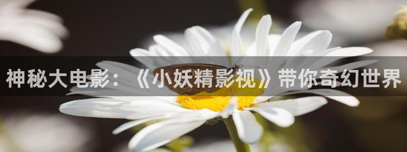 神马手机伦理影院