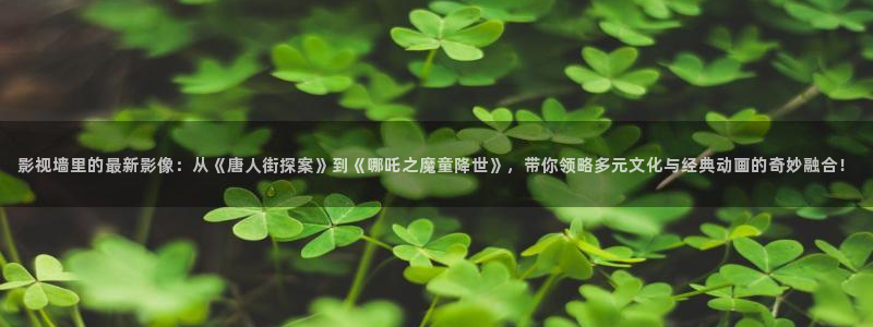 2017伦理影片