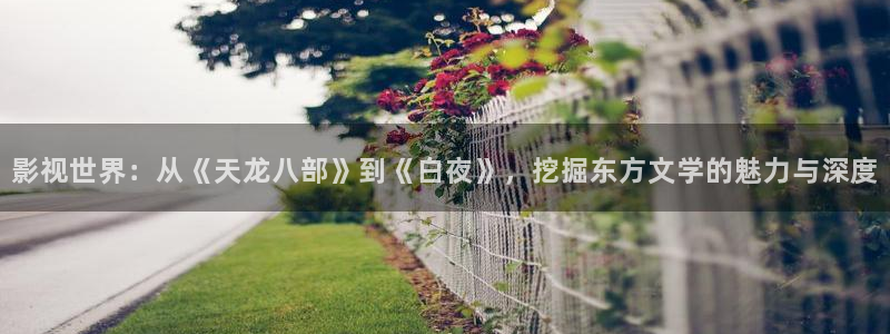 97伦理视频在线中文字幕：影视世界：从《天龙八部》到《白夜》，挖掘东方文学的魅力与深度