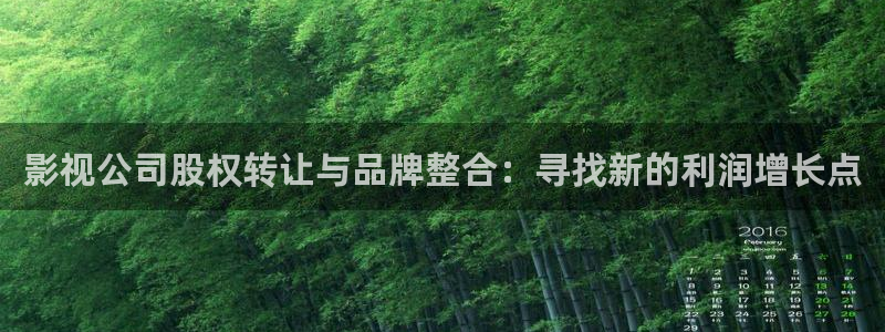 成人伦理视频在线：影视公司股权转让与品牌整合：寻找新的利润增长点