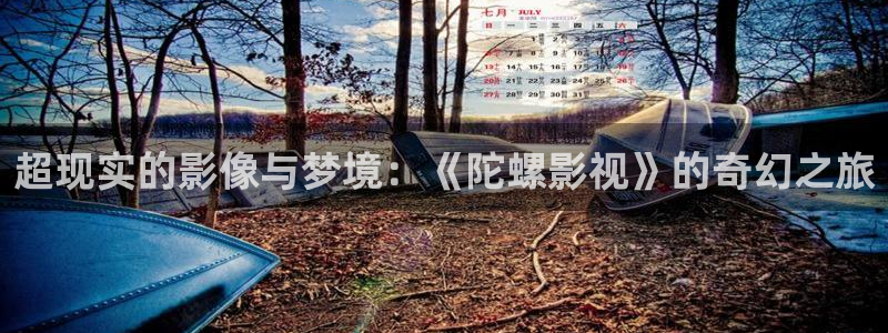 秋霞伦理影视网