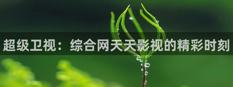 91伦理视频在线：超级卫视：综合网天天影视的精彩时刻