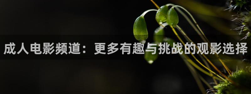 在线伦理影院